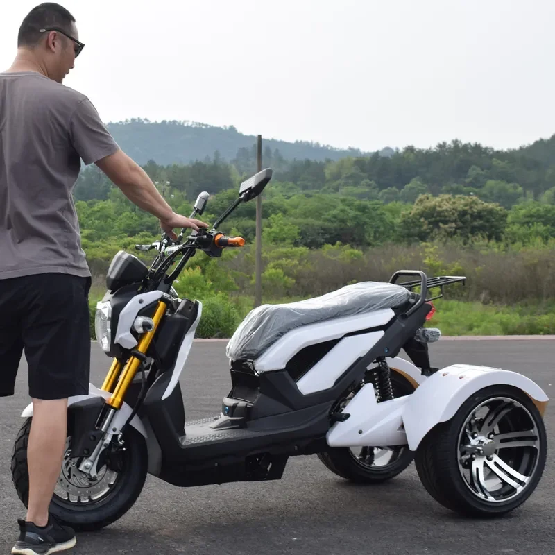 STROVAN 1000W Fashion Removable Battery Good Quality Powerful Three Wheel 3- Wheel Electric Tricycle Scooter Trike Big Seat