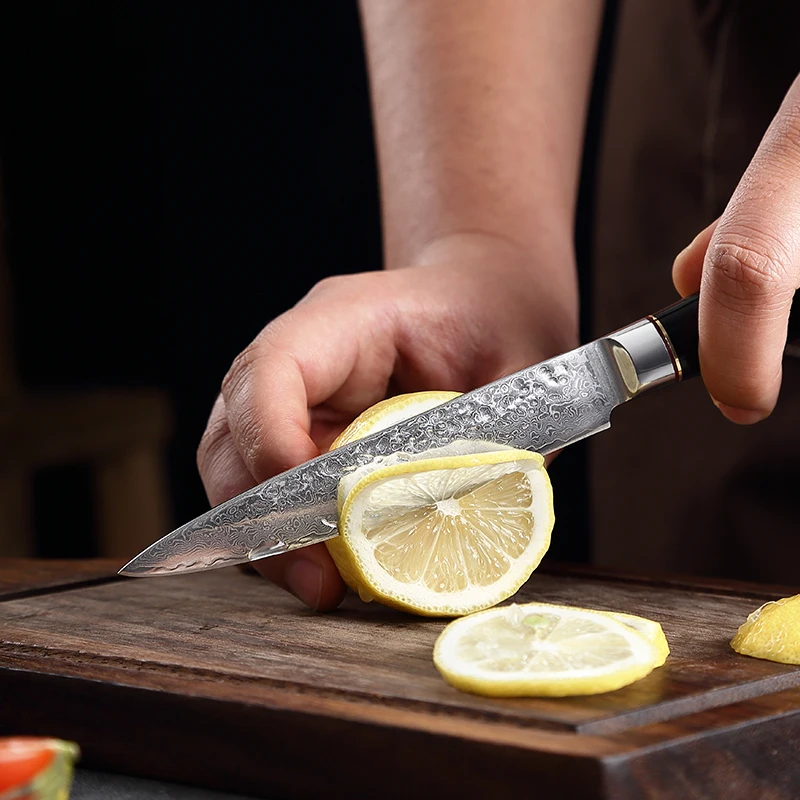 TJ POP Forged 5 Inch Utility Knife 67 Layer Damascus Steel Multi-Purpose Knife Pakkawood Handle Sharp Paring Peeler Fruit Knife