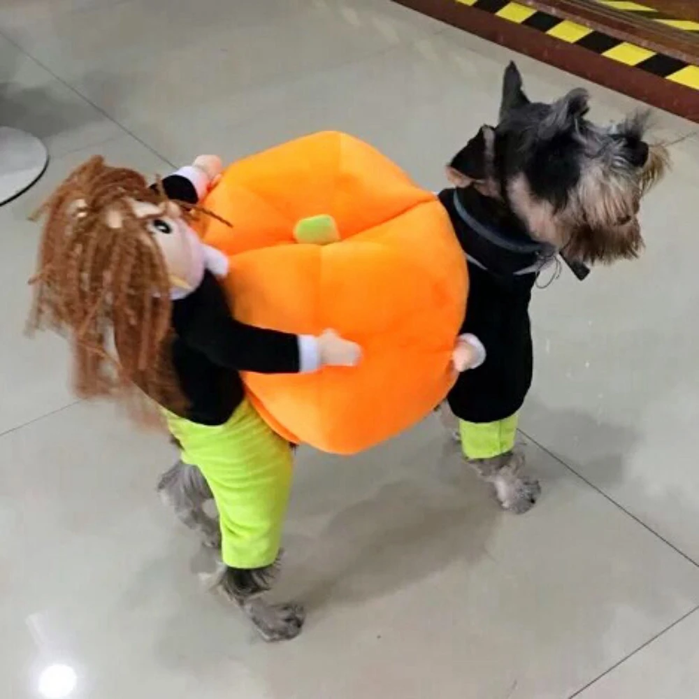 Funny Pet Cosplay Costume Pumpkin Costume Suit Cats Clothes Small Medium Dog Cat Leotard Coat Halloween Christmas Clothing