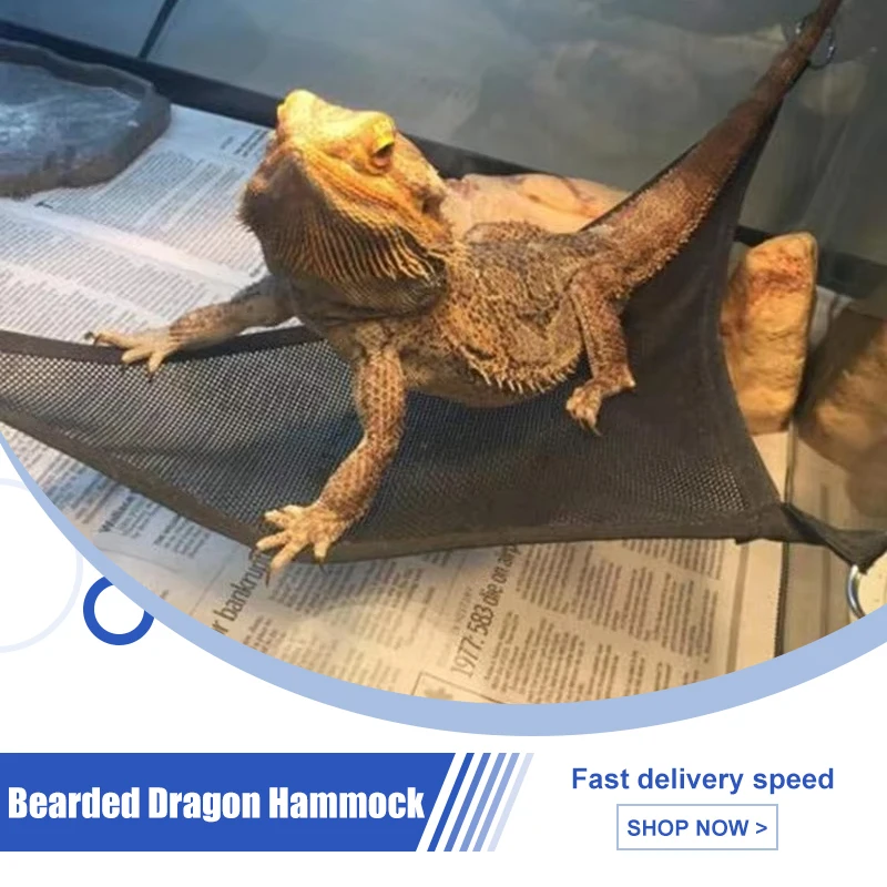 Гамак с бородатым драконом, гамак для рептилий, шезлонг, лестница, подвесная кровать в виде ящерицы, аксессуары для клеток, рептилия, террариумы, декор среды обитания Гамак с бородатым драконом, гамак для рептилий, шезлонг, лестница, подвесная кровать в виде ящерицы, аксессуары для клеток, рептилия, террариумы, декор среды обитания
