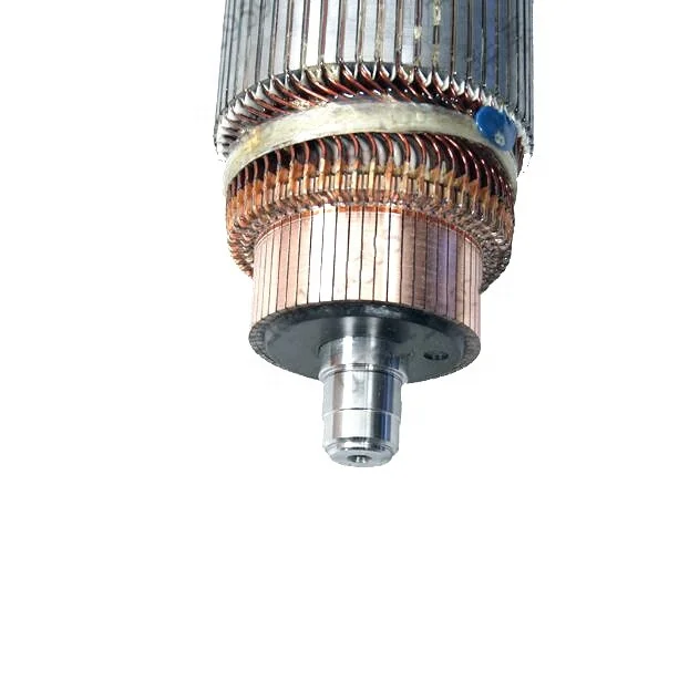 2025 عربة جولف للسيارة الكهربائية Go Kart Motor Armature 10kw 12kw 15kw