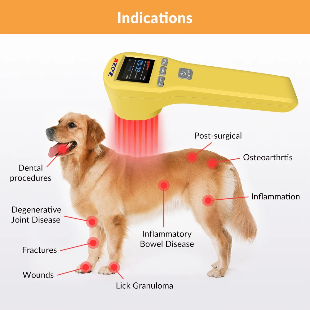 ZJZK Dispositivo de terapia láser fría para aliviar el dolor, heridas, heridas, curación, tratamiento de luz roja para mascotas, perros, gatos, uso doméstico, 808nm × 4