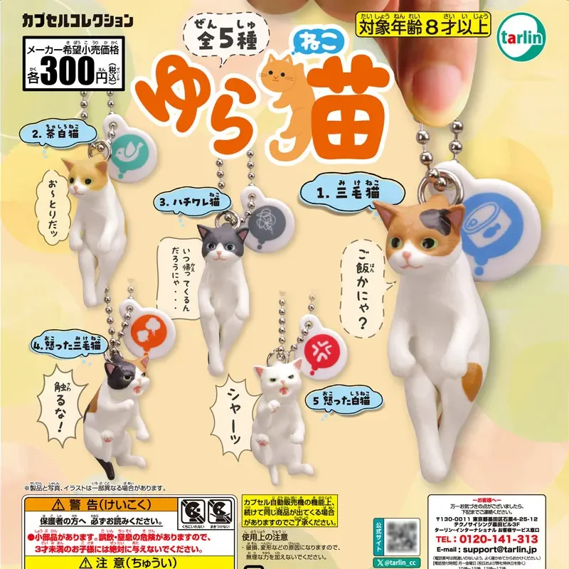 Original Japan Gashapon Figure Anime Cute Mini Pet Animal Angry Kitten Pendant Cat Model Keychain Kawaii Capsule Toys Boys Gift
