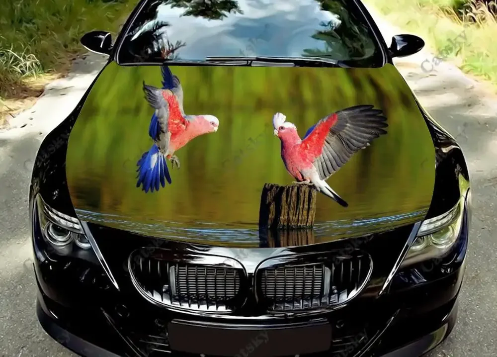 Parrots Playing on The Lake Car Hood Protect Vinly Wrap Sticker Decal Auto Accessories Decor Engine Cover for Off-road Pickup