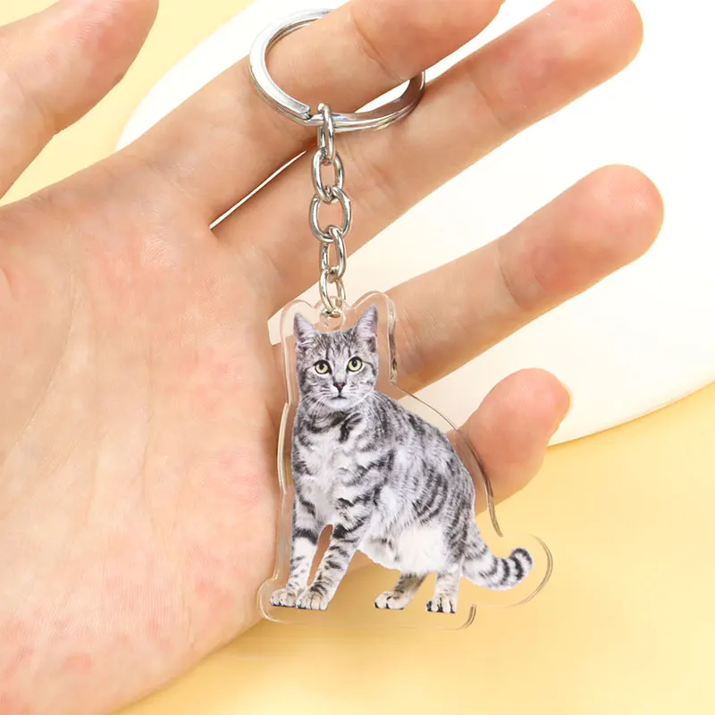 Lovely Cat Series Acrylic Keychain Bag Decoration Pendant For Men Women Pet Themed Key Ring Souvenirs Gifts For Cat Lovers