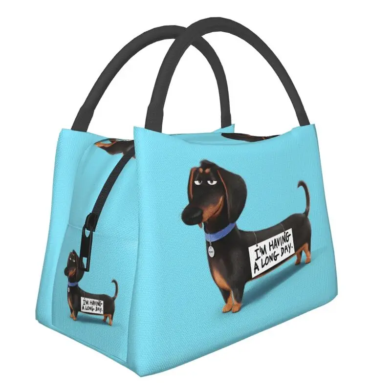 Cute Dachshund Dog Insulated Lunch Bags for Women Sausage Wiener Badger Dogs Portable Thermal Cooler Bento Box Work Travel