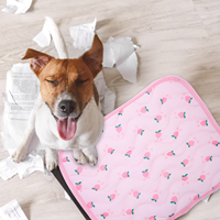 Pet Cooling Mat Lightweight Foldable Dog Bed Summer Cat Cushion Pink Portable Ice Pad for Pups Household Use Durability Easy
