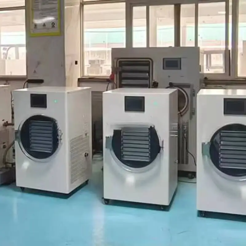 

Home-Use Freeze Ryer With 2/4/6/8 Trays, Space-Saving, Use For Foo Processing Of Canies, Fruits, Meats, Seafoo, CE