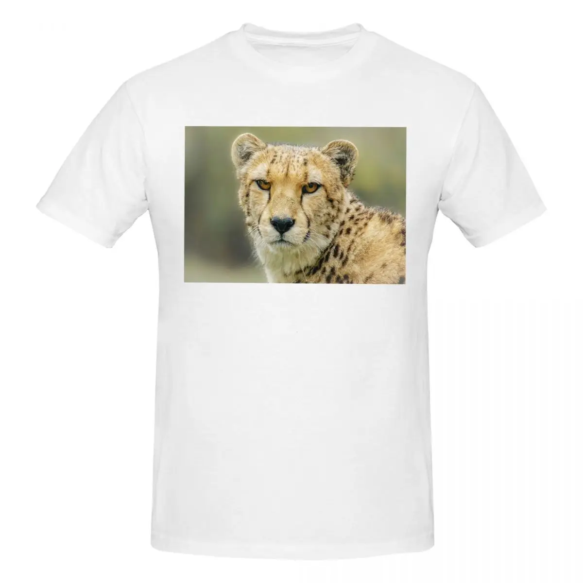 Big Cats 149 C Ben Yassa Men T-Shirt Fashion Oversized T Shirts Men's Crew Neck Cotton Tees Short Summer Male