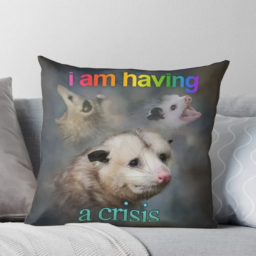 

I am having a crisis possum word art Throw Pillow Throw Pillow Covers Sofa Cover Plaid Sofa Pillow