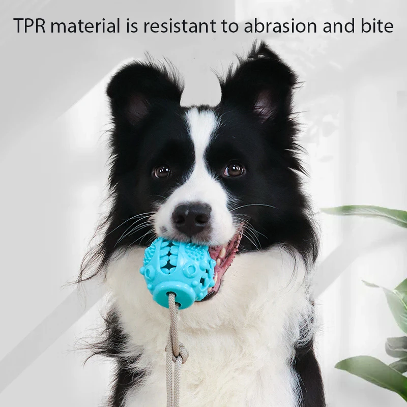 Dog Chew Toys Suction Cup and Rope Cup Tug Pet Toy Self-Playing Dog Teething Toys Dog Pull Toy with Chew Rubber Ball