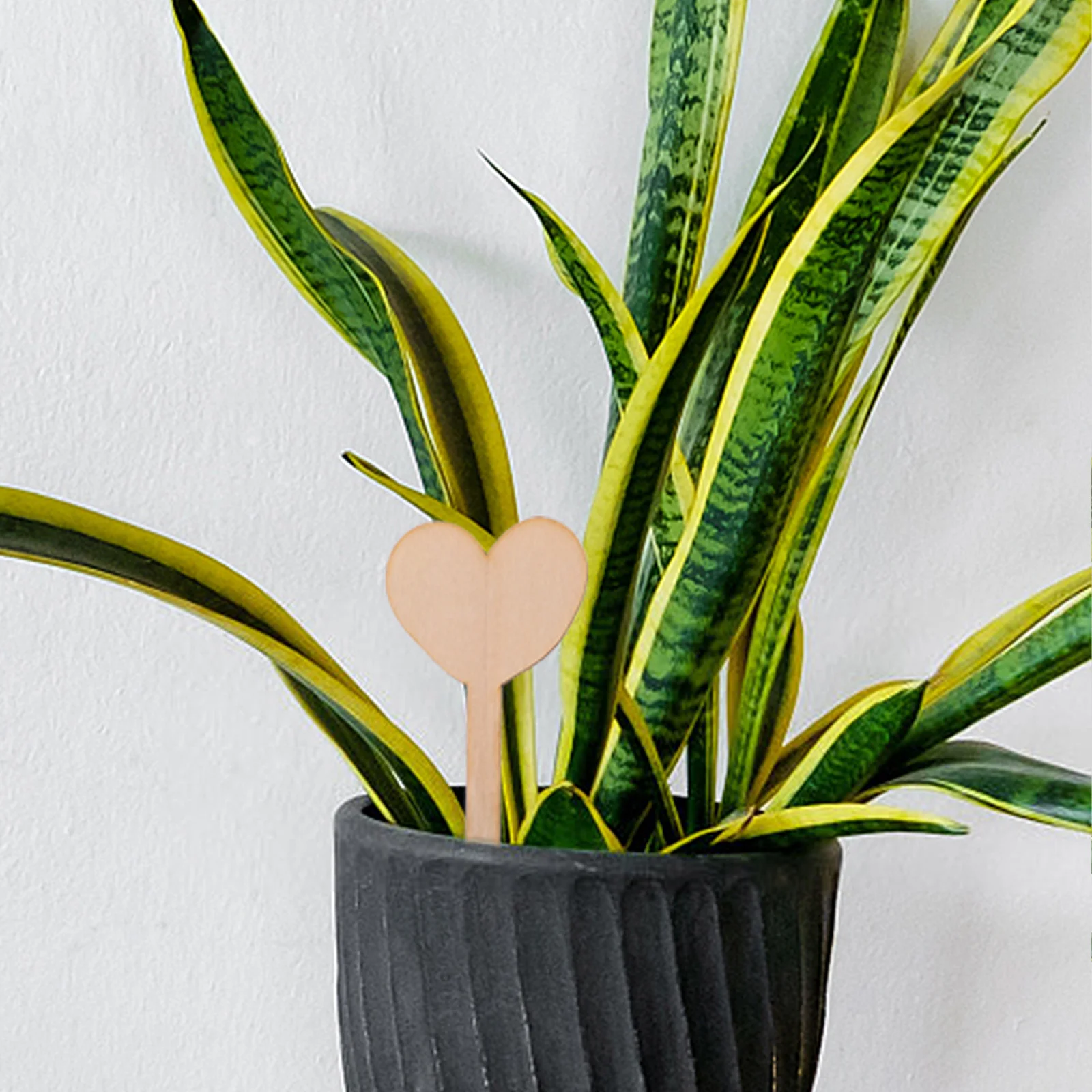 

50pcs Plant Labels Wooden Tags for Seedlings Garden Signs Reusable Markers Decorative Plates Gardening