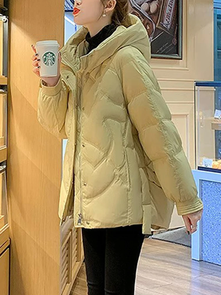 Trendy Casual Hooded down Cotton Jacket Women's Fashionable Winter Coat Korean Style Breathable Long Sleeve Zipper Closure
