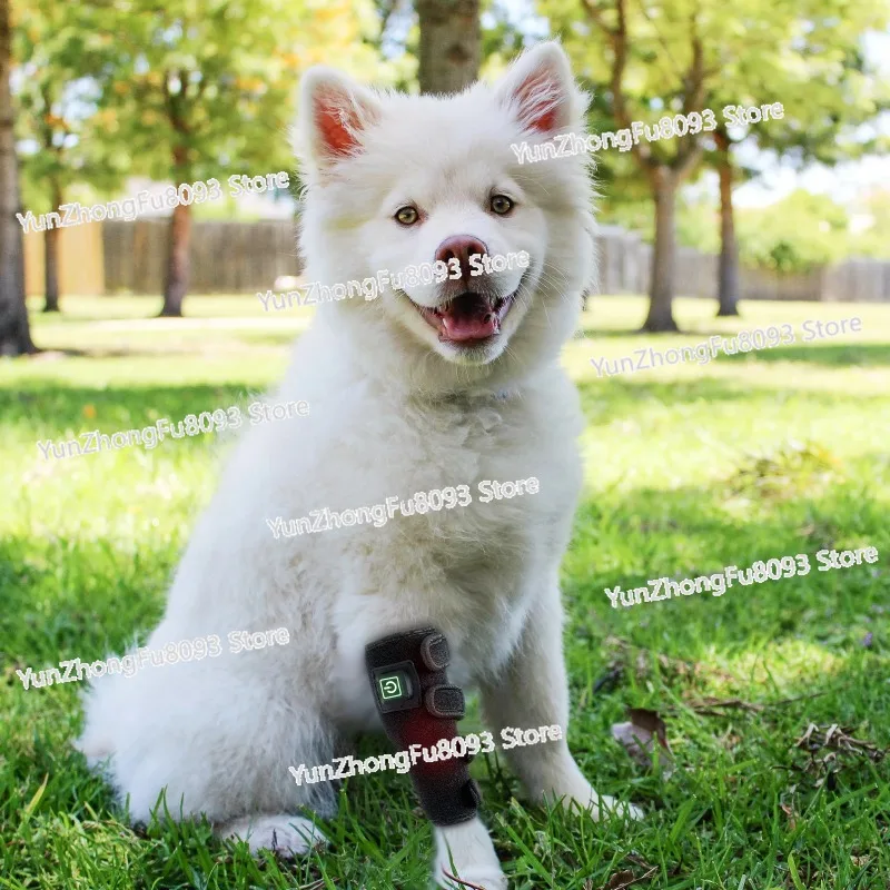 Cat and Dog Leg Guards, Pet Animal Protectors, Knee Pads, Blue Light Vibration Massage