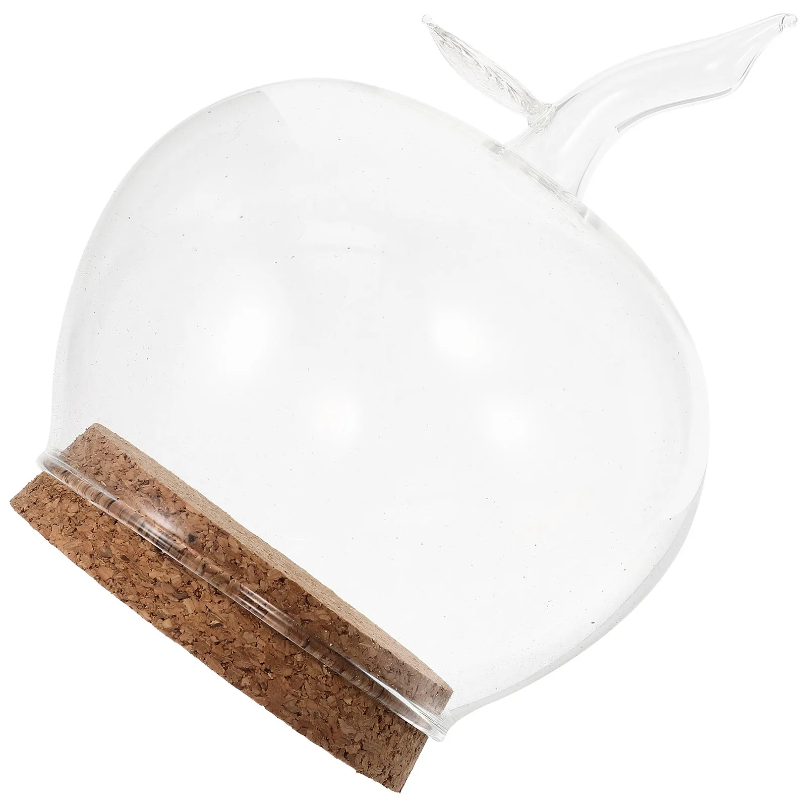 Glass Shaped Microlandscape Cover Premium Wood Base Preserved Flower Glass Cover Transparent Display Dome Desktop Ornament