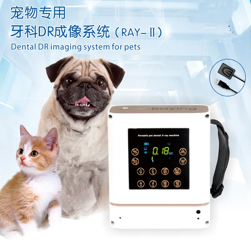 Pet dentistry Oral X-ray machine Handheld camera Digital imaging sensor Animal dental film machine