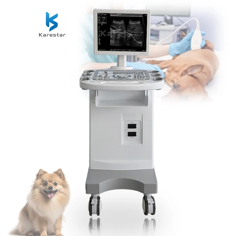 Pet Hospital Diagnostic Vet Ultrasound Device Trolley Price Karestar Veterinary Ultrasound Machine