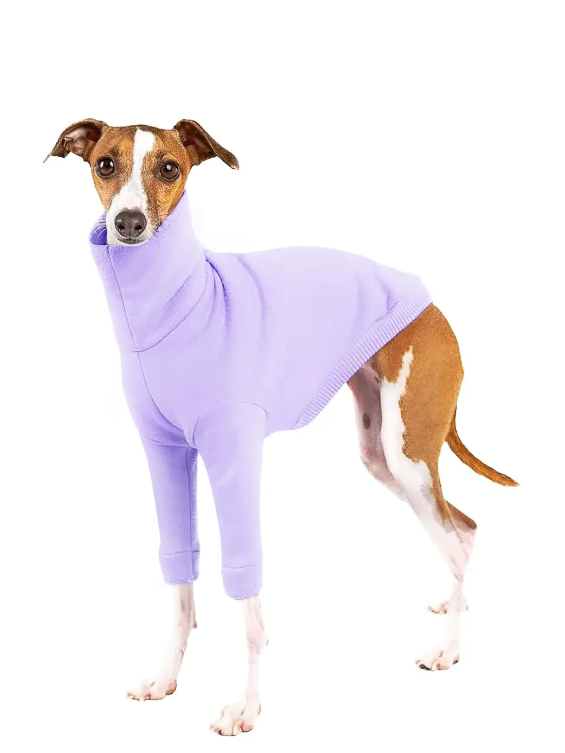 Dog Fleece Sweater Turtleneck Long Sleeve Pullover Warm Clothes for Small Medium Dogs, Customized