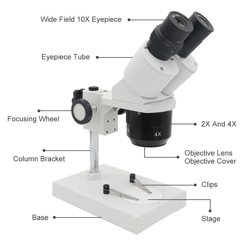 20X 40X PCB Repair Microscope WF10X Eyepiece Metal Binocular Stereo Microscope with LED Ring Light for Watch Phone Inspection