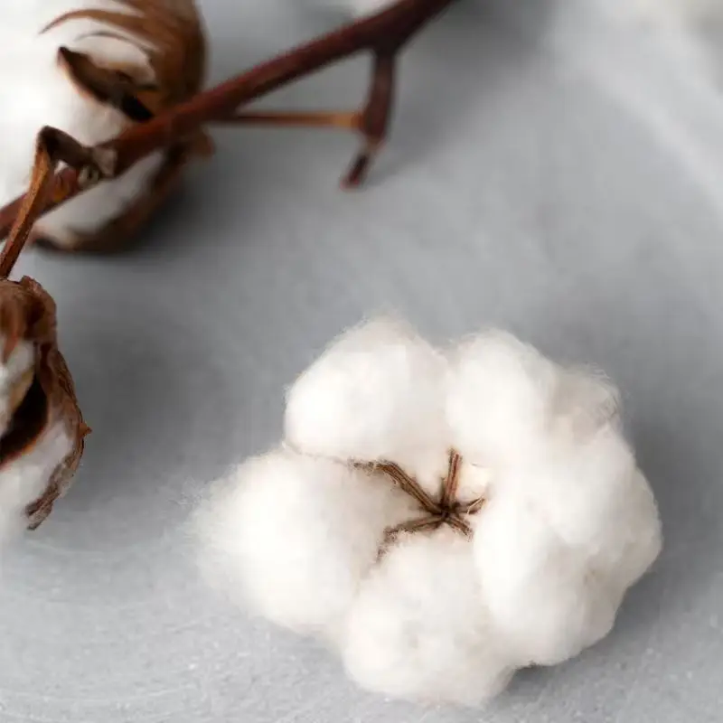 أليس في بوردرلاند جوكر المتضخم تي شيرت الرجال تي شيرت موضة انمي ياباني تيز المرأة Harajuku القطن قصير الأكمام الصيف #6