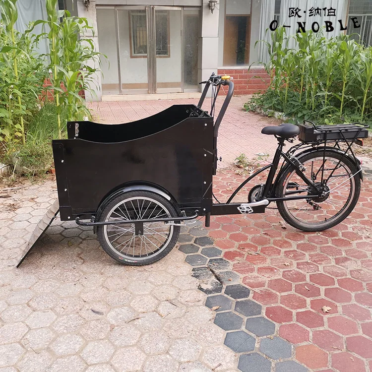 Cargo Bike China Family 3 Wheel Electric Cargo Bike 350W Motor