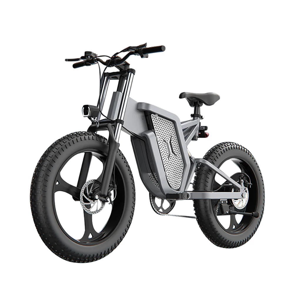

20 Inch Fat Tire 48V 10AH Lithium Battery 7 Speed 40kmph Ebike 500W Rear Hub Motor ZOOM Disc Brake LED Display X20 Electric Bike