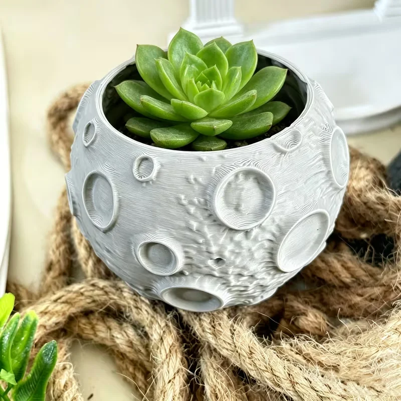 Mond-Pflanzentopf mit Mondober – Echeveria Succulent Bewertung und Preis
