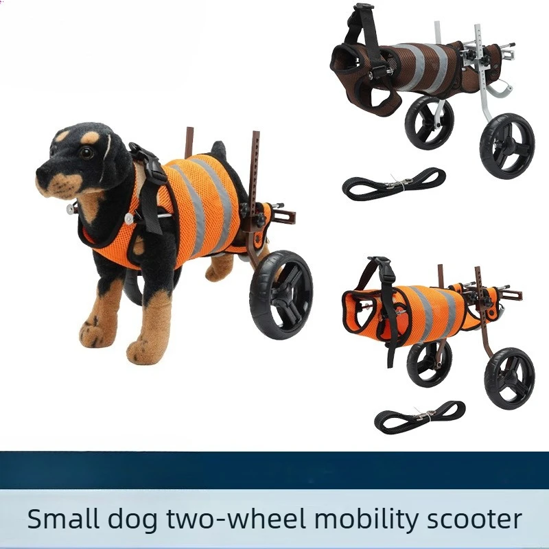 veicolo-assistito-per-la-cura-della-riabilitazione-della-sedia-a-rotelle-per-animali-domestici-cani-di-piccola-e-media-taglia-fuori-un-veicolo-per-disabilita-sulla-mobilita-a-due-ruote