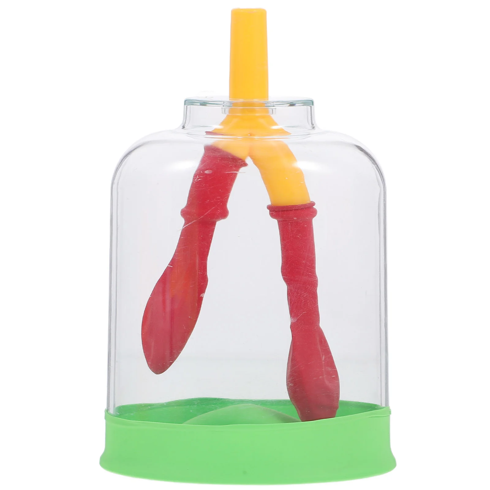 Lung Breathing Model Education Teaching Human Lungs for Kids Body Health Display Plastic