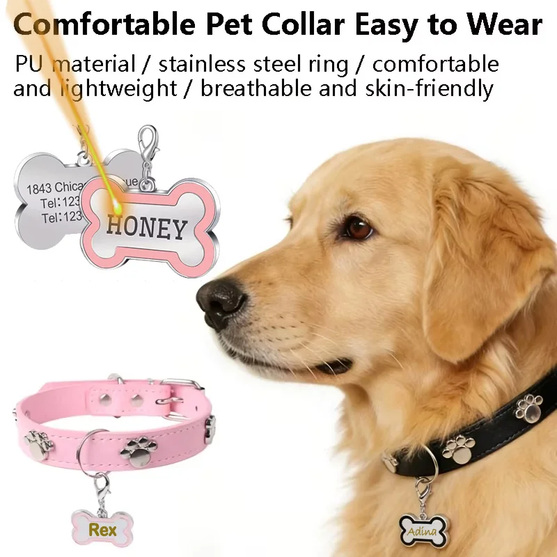 Collier pour chien gravé avec nom et numéro de téléphone, collier ajustable personnalisé pour chiot, étiquette d'identification pour animaux de compagnie, pour chiens et chats de petite, moyenne et grande taille