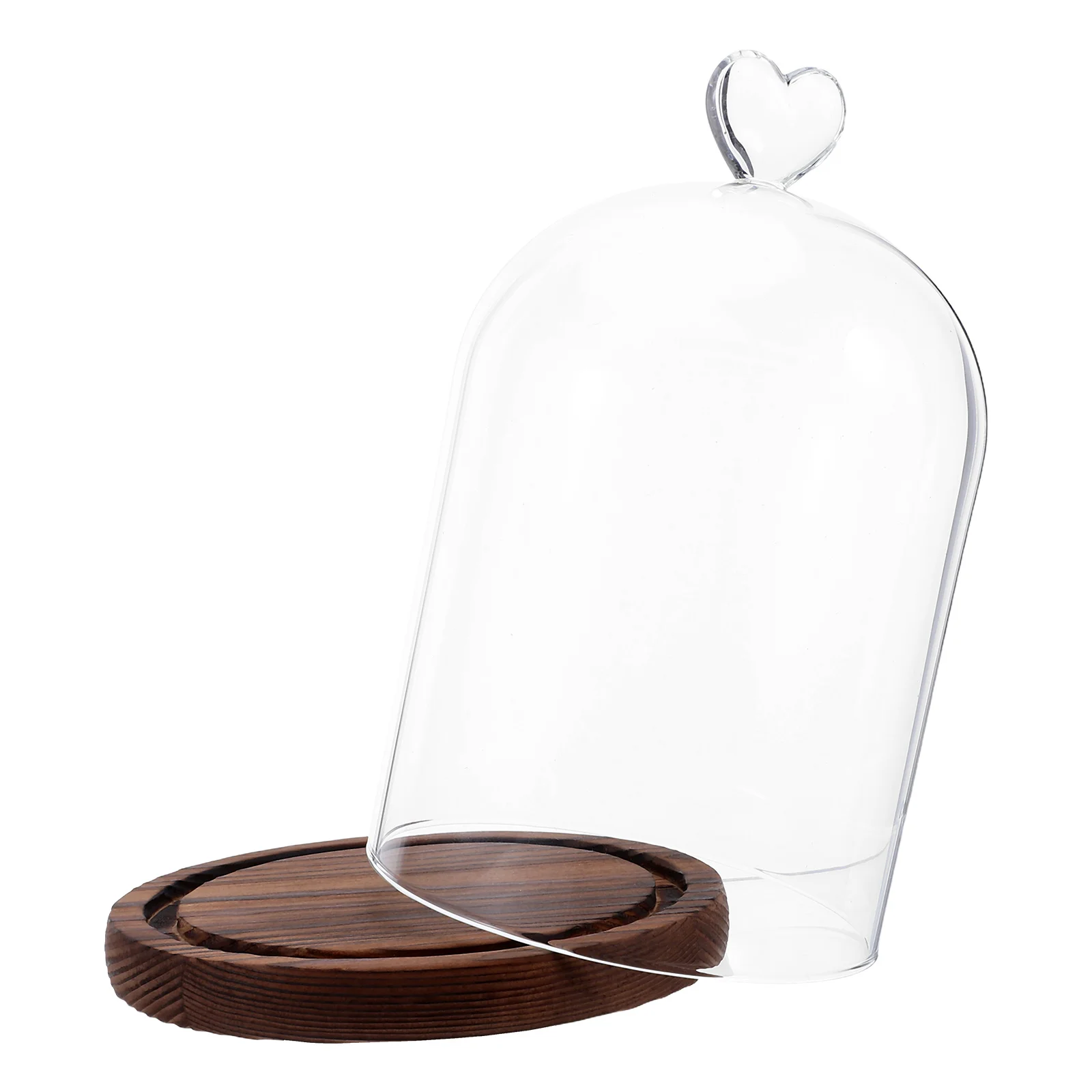 قبة زجاجية مزخرفة، قبة شفافة ممتازة لمقتنيات DIY، زهور أبدية، قطع مركزية لعيد الميلاد، عرض المكتب المنزلي #5