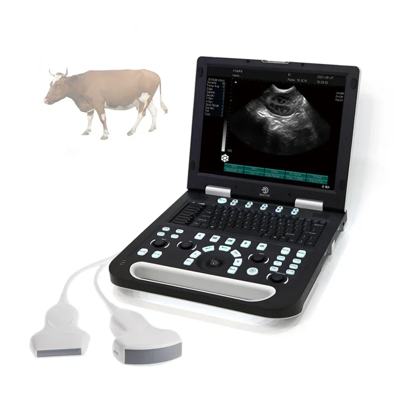 

Vet Ultrasound Veterinary Ultrasound Portable Color Doppler 4d Ultrasou Scanner/Ultrasound Vet Machine