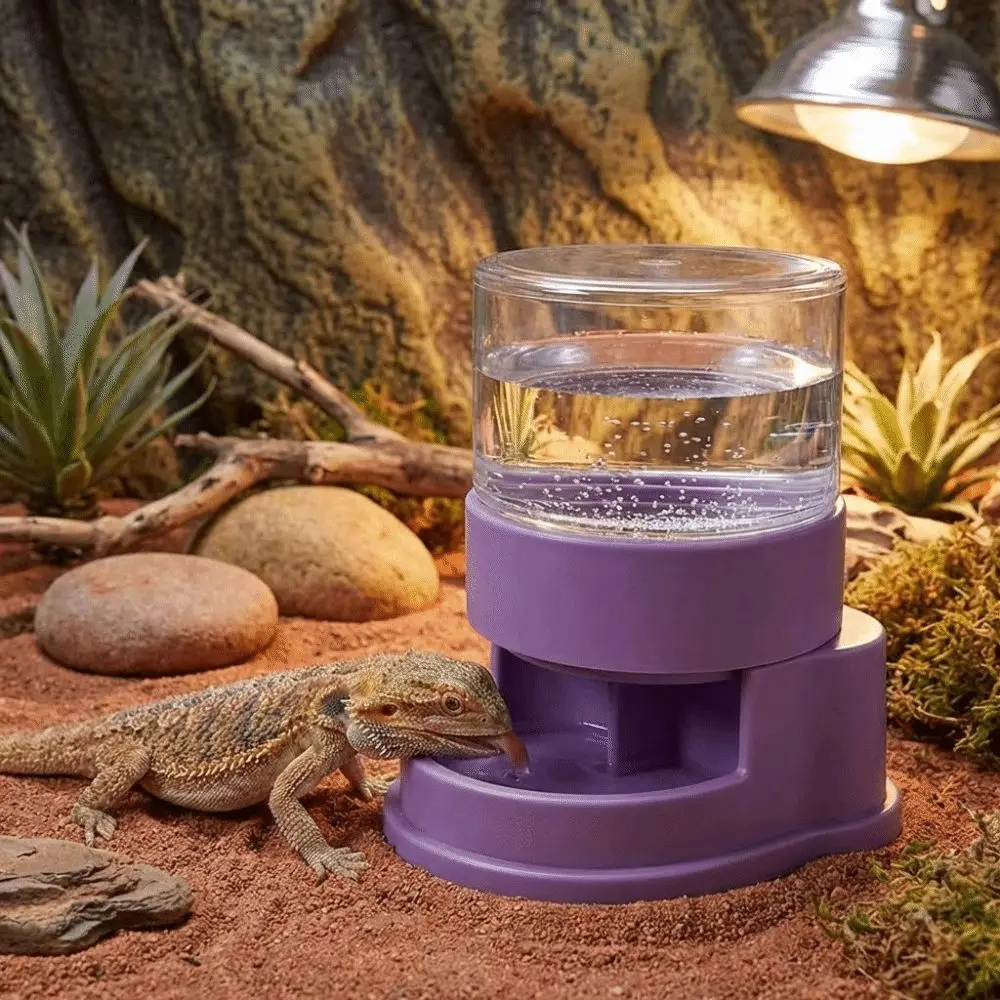 Anti-slip Base Reptiles Water Feeder Detachable Stable Automatic Water Dish Plastic Reptile Water Dispenser for Amphibians