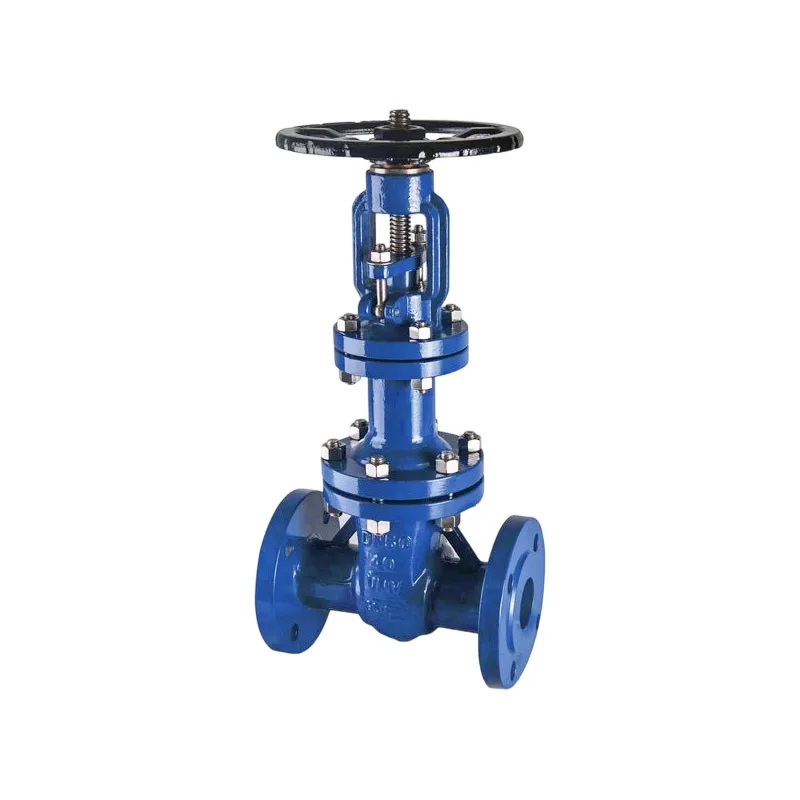

Supply bellows gate valve cast steel flange high temperature double seal elastic valve