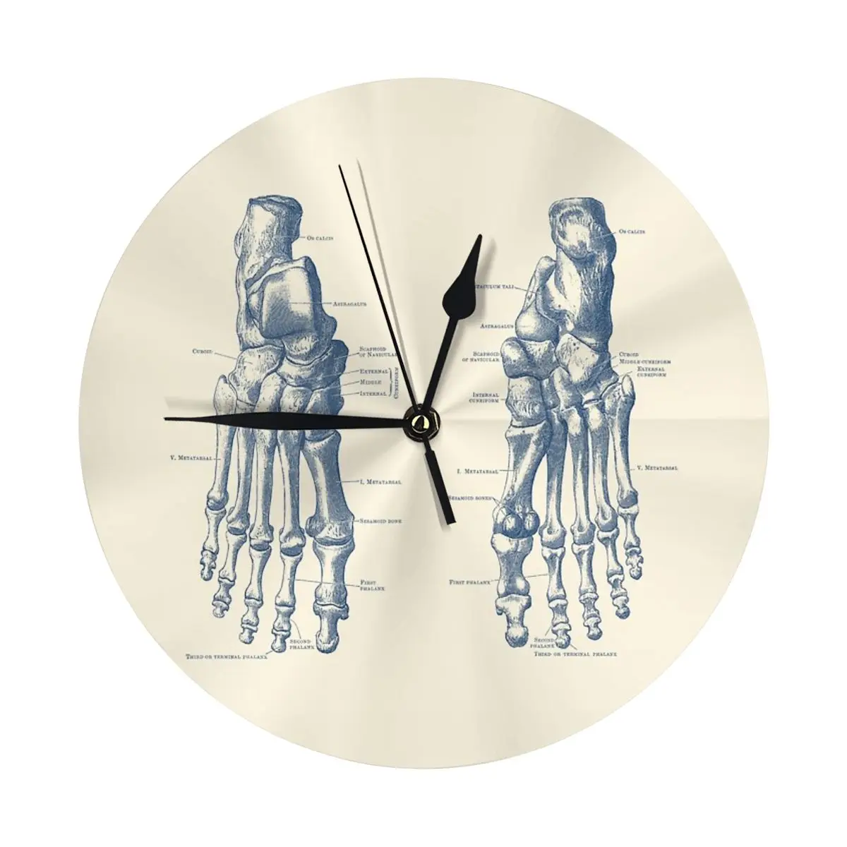 Foot And Ankle Skeletal Diagram Wall Clock Room Decoration Clock Must-have Ornament Round