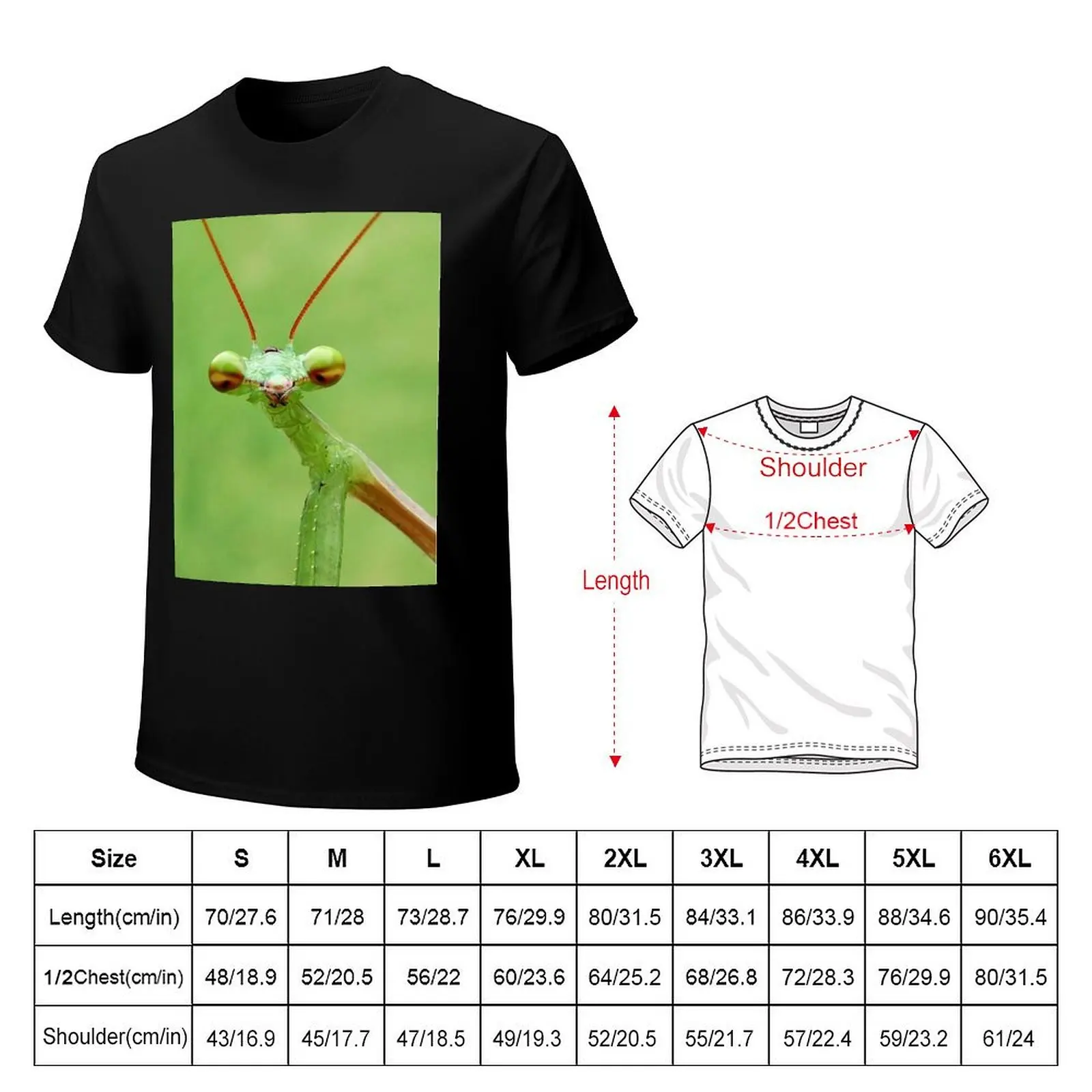 Praying Mantis T-Shirt Minimalist Graphic Tee Shirt