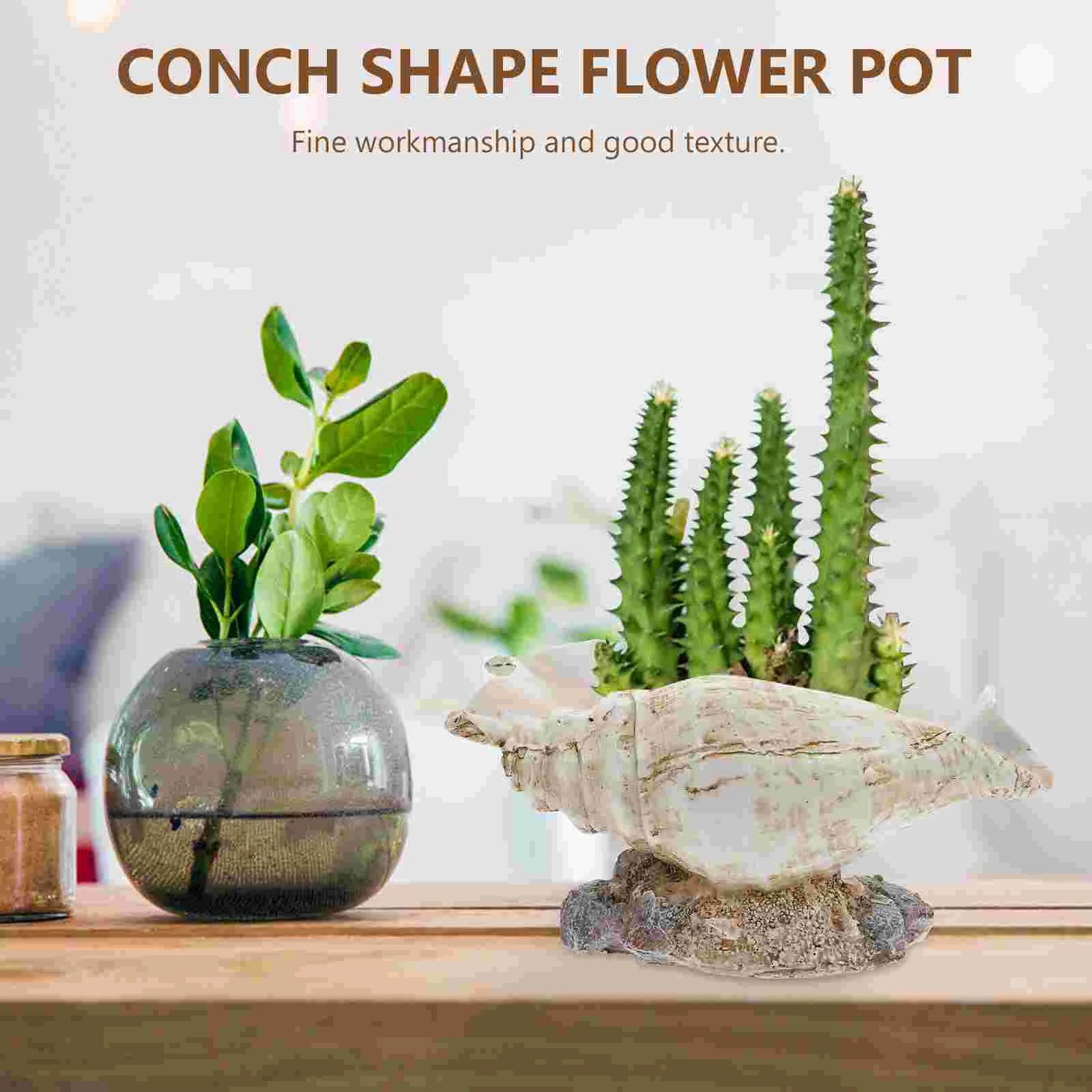 Simulated Conch Flower Pot Flowerpot Fleshy Succulents Shape Resin Artistic