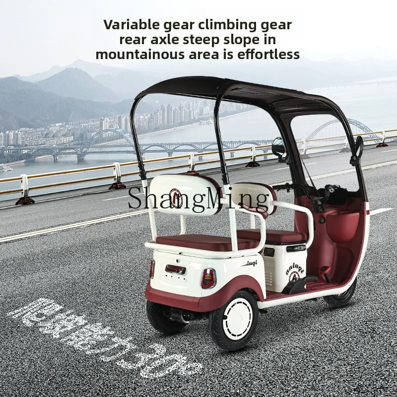 ZYH جديد سقيفة دراجة ثلاثية العجلات الكهربائية المنزلية الصغيرة سيارة تعمل بالبطارية