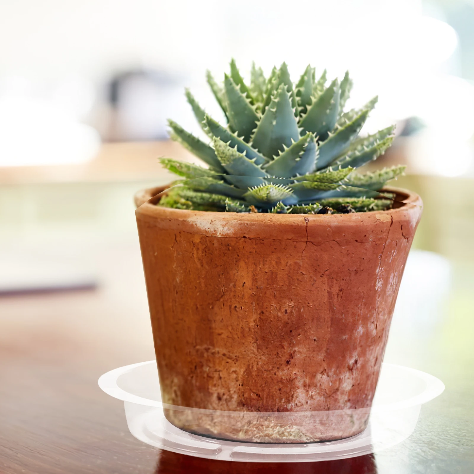 

10 Pcs Clear Plant Trays Indoor Drip Saucers Transparent Flower Pot Round Drainage Trays Plants Water Collectors Saucer