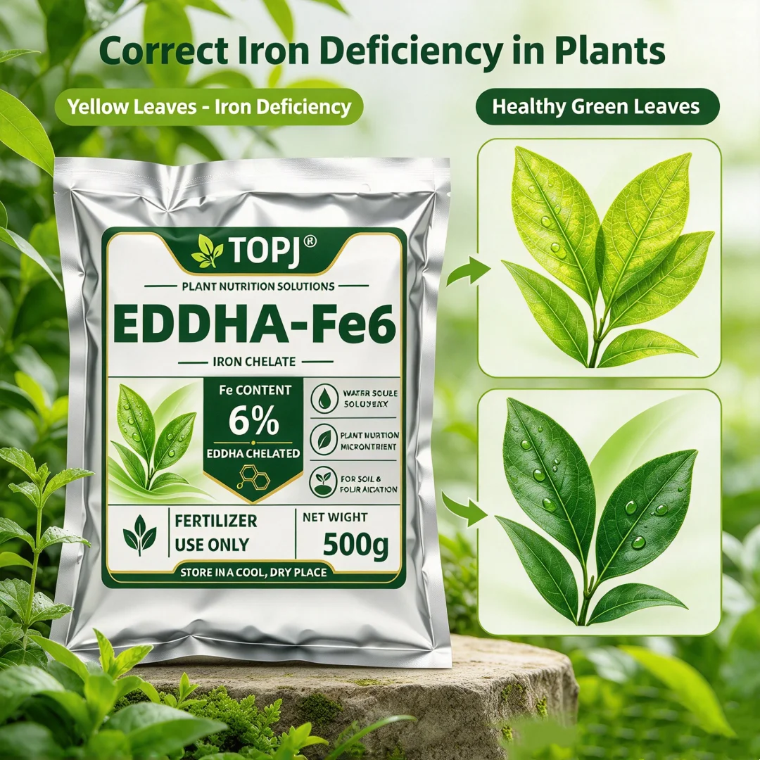 TOPJ EDDHA-Fe6 Chelated Iron Fertilizer 6% Fe, Water Soluble, Fix Yellow Leaves, Plant Iron Supplement Micronutrient