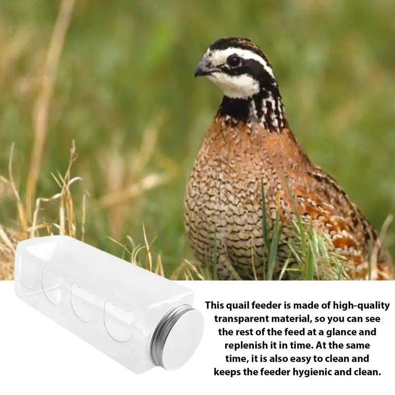 Quail Feeders No Waste 4 Cute Bear Feeding Ports Chicken Food Dispenser No Mess Portable Bottle Shaped Birdfeeders Cage