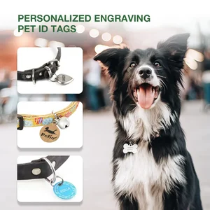 DOUBLE NEW XN003 Mini Bluetooth & Type C Laser Engraver ، آلة النقش ، التركيز المتغير ، الفولاذ المقاوم للصدأ ، الزجاج ، الخشب ، منطقة النحت ، 5W ، 90x80mm أفضل 10 حفارة ليزر للمبيعات للفولاذ المقاوم للصدأ - رقم 5