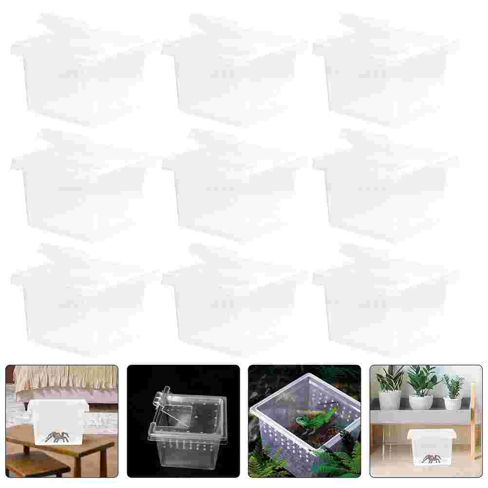 10 Pcs Acrylic Spider Enclosure Reptile Feeding Box Transparent Insect Habitat Terrarium Breeding Bins