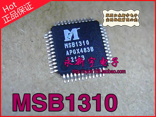 

MSB1310