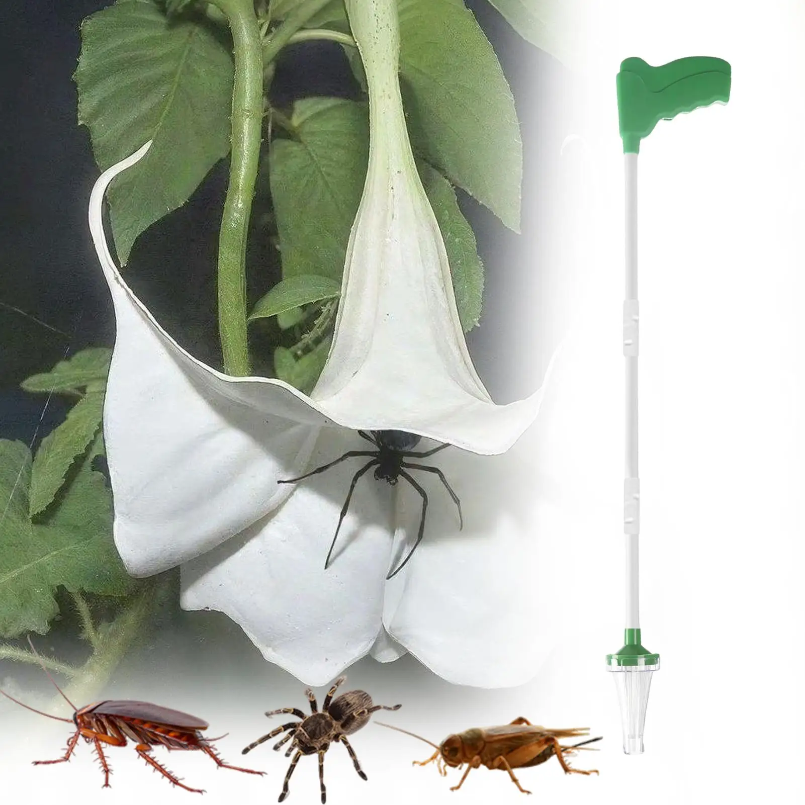 Spider Catcher with Long Handle Cockroach Grabber Spider Trap Tool Pick Up Tool Family Trap Tool For Home Garden Outdoor