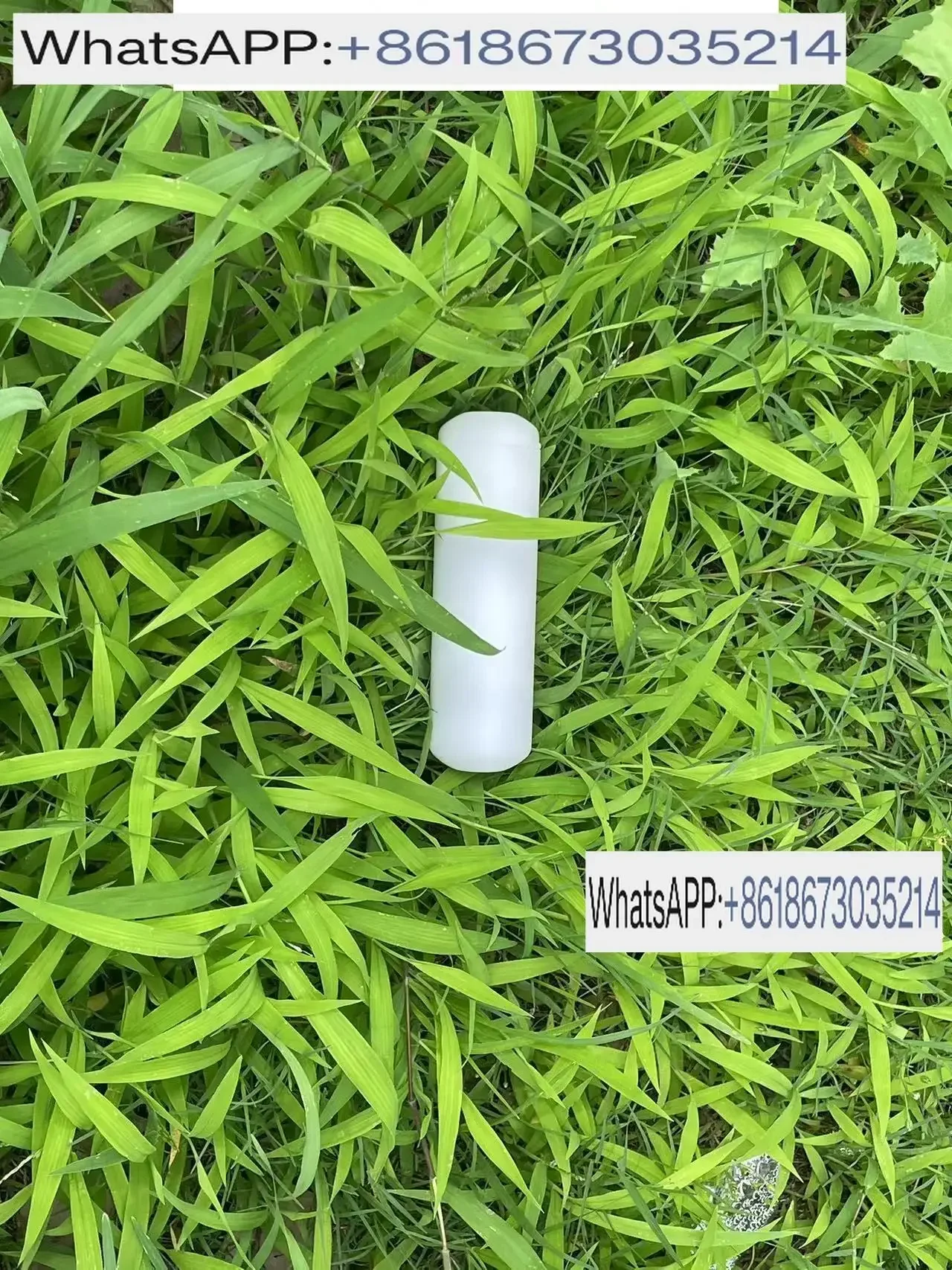 Accurated cow body temperature detection rumen bolus sensor heat estrus detection fever detection health