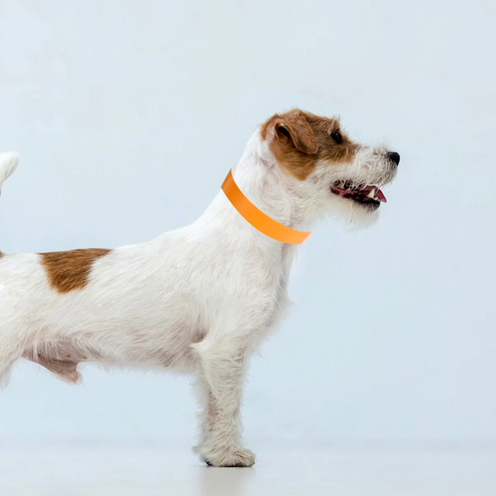 

100Pcs Puppy Whelping Collars Newborn Pet Id Bands Adjustable Size Durable Easy Clean Multiple Colors Litter Identification