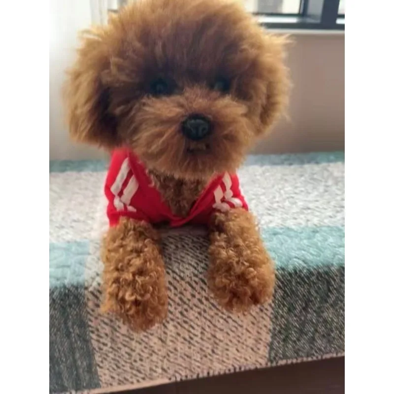 Lifelike Simulation Poodle Dog Stuffed Animal Soft Fluffy Teddy Plush Toy with Simulated Breathing As Birthday Companion Gift