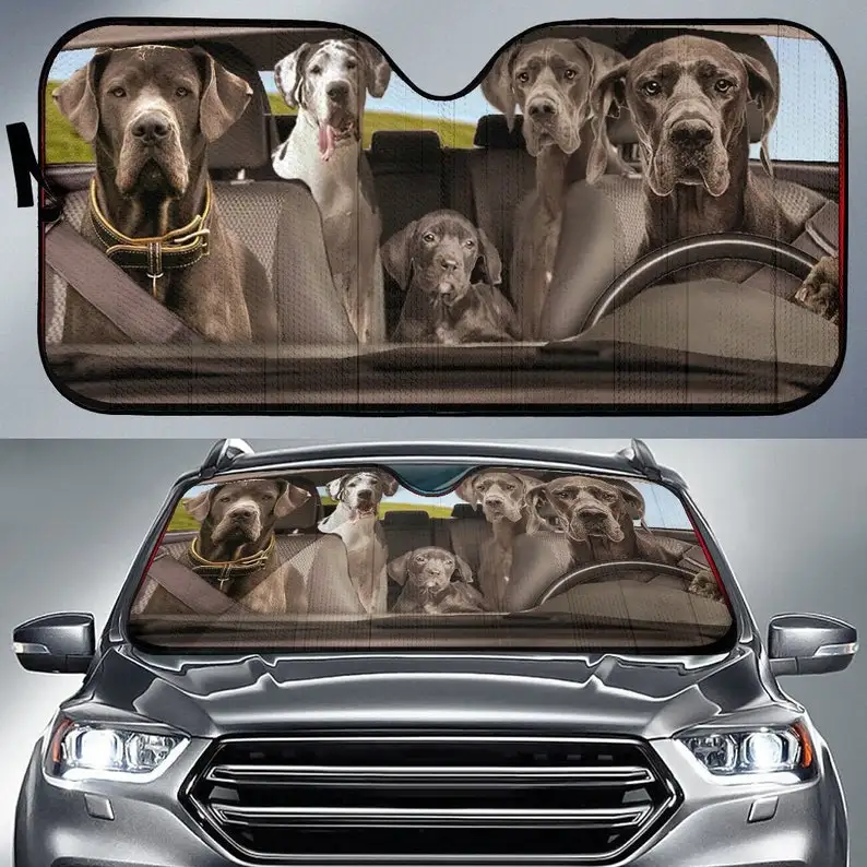 

Great Dane Dogs 3 Auto Sun Shade, Dog Design, Car Sun Shade, Car Decor, Custom Print, Car Accessories, Guardian Dogs, Apollo of