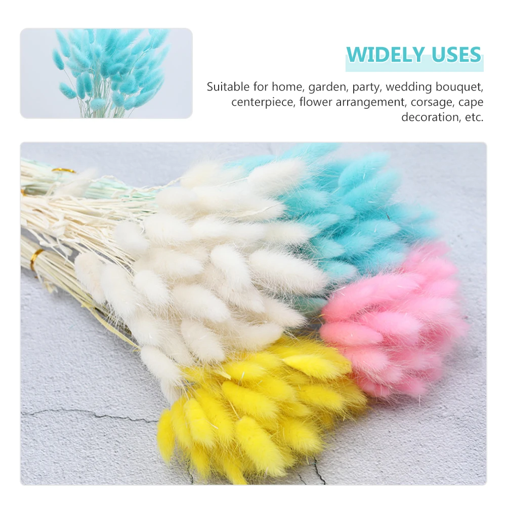 60Pcs Dried Bunny Tails Grass Natural Rabbit Tail Pampas for Creative Home Decor DIY Centerpiece Decoration Supplies